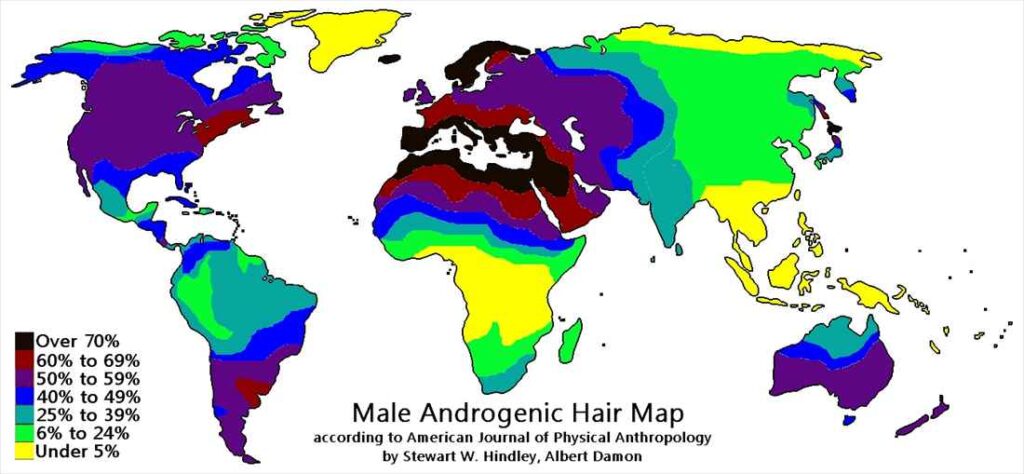 hair map